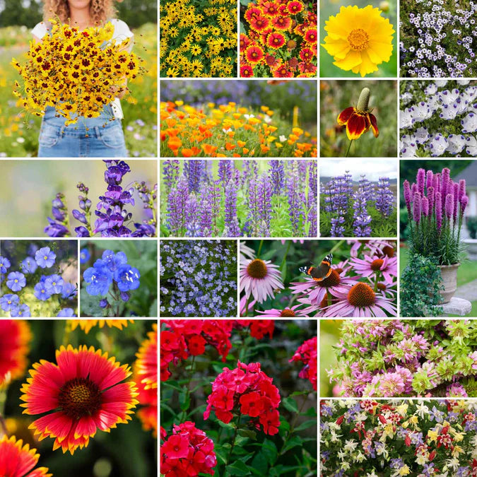 WILDFLOWER SEED PACKET MIX